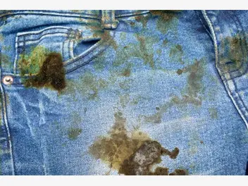 Ilustracja artykułu jak usunąć rdzę z ubrania? sprawdzone sposoby na plamy z rdzy