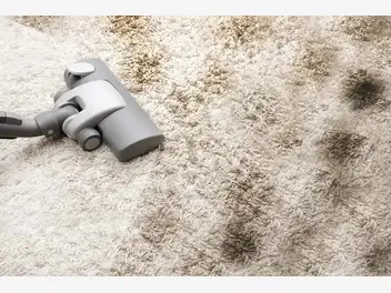 Ilustracja artykułu czyszczenie dywanu sodą oczyszczoną krok po kroku