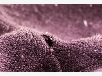 Ilustracja artykułu jak uratować sfilcowany sweter z wełny - praktyczny poradnik