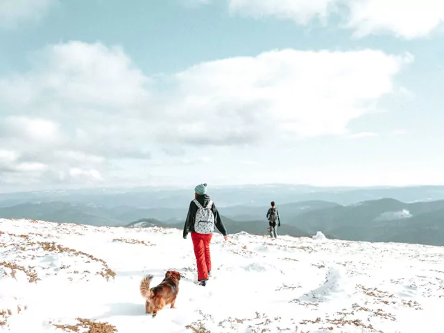 Najlepsze spodnie trekkingowe zimą