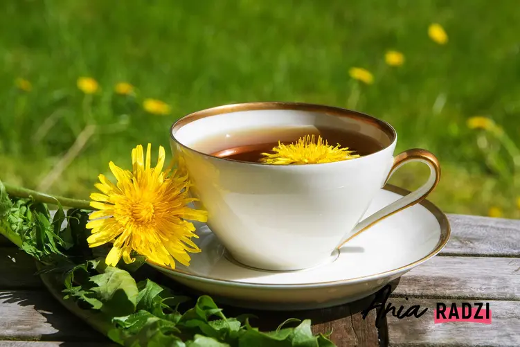 Herbatka z mniszka lekarskiego i inne domowe sposoby, jak zregenerować wątrobę podczas niewielkich problemów