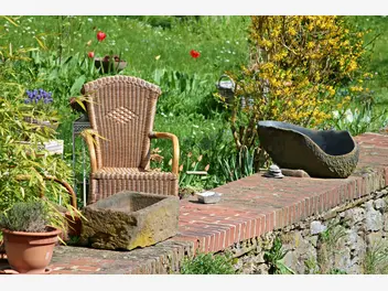 Ilustracja artykułu jak wybrać fotel do ogrodu?