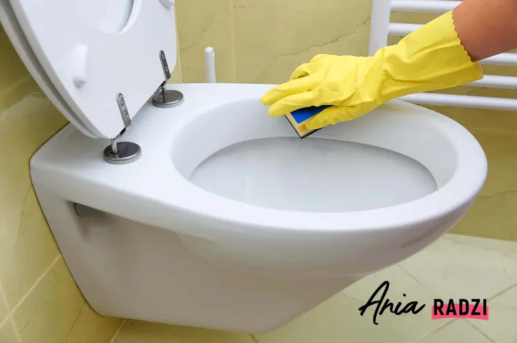 Czyszczenie toalety, a także podpowiedzi, jak usunąć kamień z toalety, najlepsze sposoby