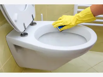 Ilustracja artykułu jak usunąć kamień z toalety? top 5 sposobów na odkamienienie wc