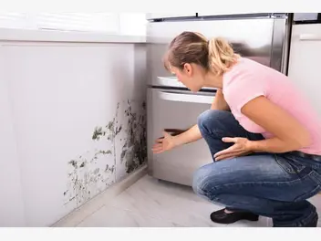 Ilustracja artykułu pleśń na ścianie i suficie w mieszkaniu – przyczyny, najlepsze metody usuwania
