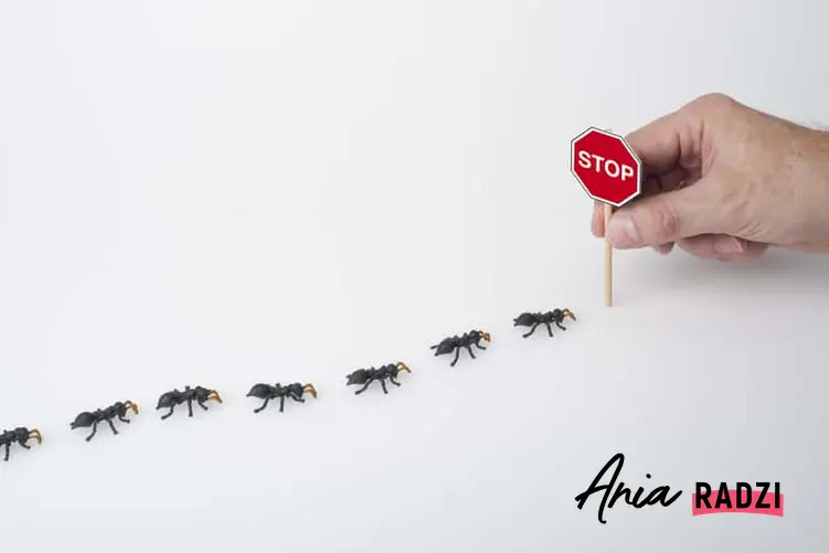 Mrówki idące po białym stole i znak stop ograniczający ich przemieszczanie się, a także domowej roboty pułapki na mrówki