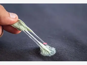Ilustracja artykułu jak usunąć gumę ze spodni - sprawdzone sposoby na odklejanie i wywabianie plam z gumy