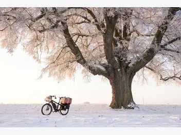 Ilustracja artykułu jak się ubrać na rower jesienią i zimą?
