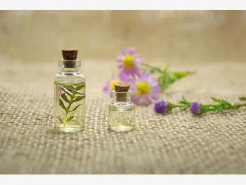 Ilustracja artykułu piękne perfumy na prezent – gdzie kupić najlepsze zapachy na rynku?