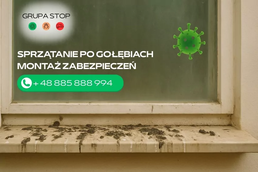 sprzątanie gołębich odchodów