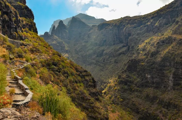 Wynajmij rower i odkrywaj malownicze trasy wzdłuż wybrzeża Teneryfa