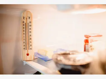 Ilustracja artykułu jaka powinna być temperatura w lodówce? wyjaśniamy, ile stopni i dlaczego