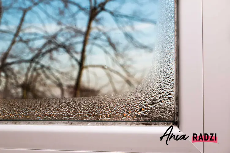 Wilgoć w domu na oknie, a także podpowiedzi, jak zlikwidować wilgoć w domu, najlepsze środki na wilgoć i przeciwgrzybowe