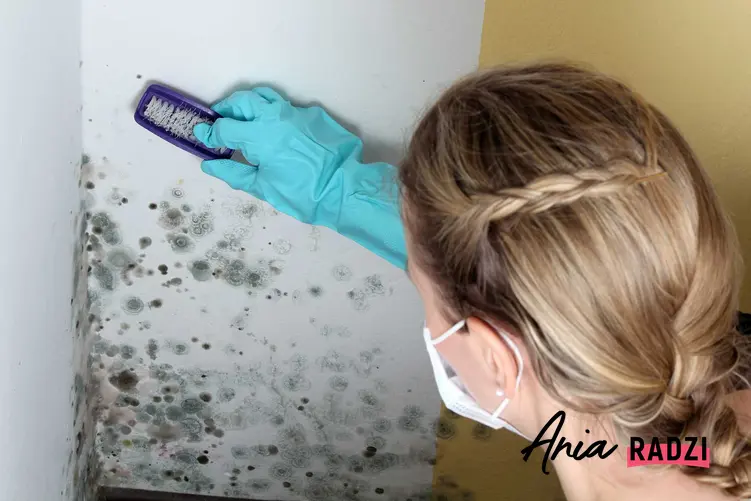 Kobieta czyszcząca wilgoć na ścianie, a także informacje, jak zlikwidować wilgoć w domu krok po kroku