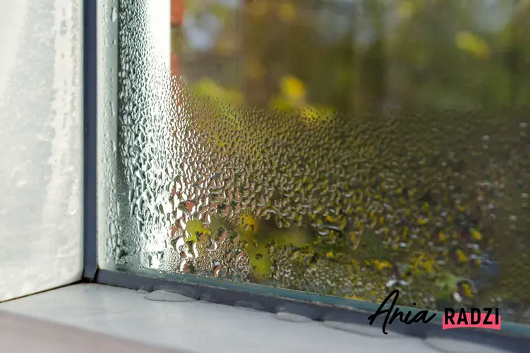 Wilgoć na oknach, czyli parujące okna w domu i sposoby, jak sobie poradzić z wilgocią osadzającą się na szybach w domu