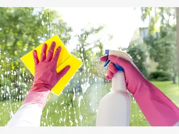 Ilustracja artykułu jak szybko umyć okna – domowe sposoby na błyskawicznie czyste okna