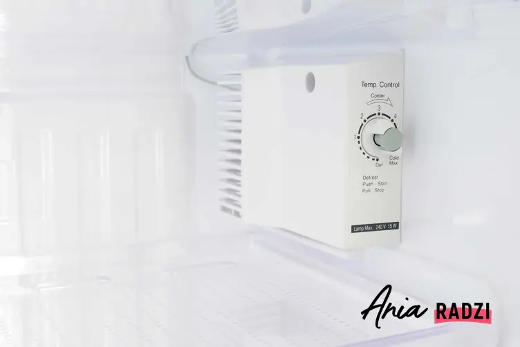 Termostat do lodówki oraz jego zasada działania, a także wymiana termostatu w lodówce bez wzywania serwisu krok po kroku