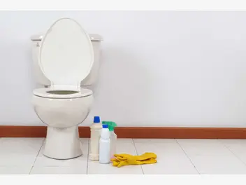 Ilustracja artykułu jak wyczyścić kamień w toalecie? oto kilka sprawdzonych sposobów