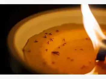 Ilustracja artykułu naturalne sposoby na walkę z komarami – sprawdź, jak się przed nimi bronić