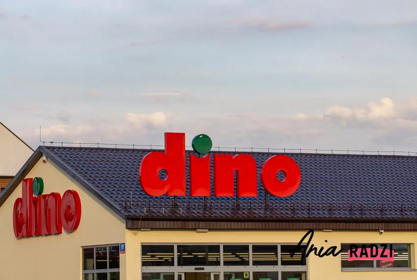 Logo sklepu Dino
