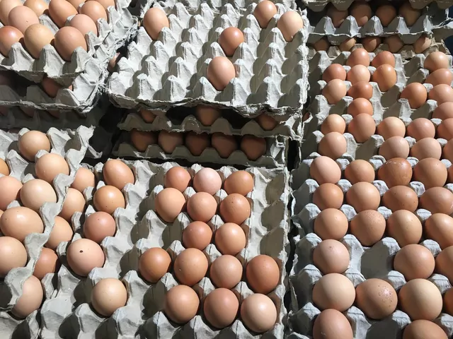 Gdzie wyrzucać opakowania po jajkach