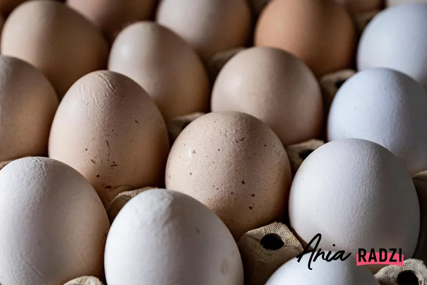 Wbrew pozorom, temperatura przechowywania jajek ma ogromne znaczenie Kurze jaja