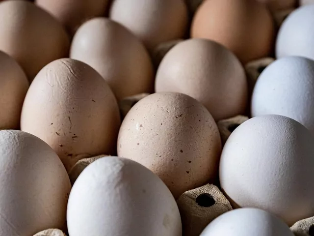 Tak sprawdzisz świeżość jajka