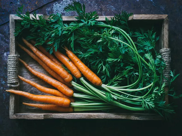 Przechowywanie marchewki