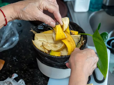 Naturalny nawóz ze skórek bananowych