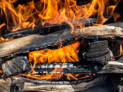 Jak dobrać drewno do palenia?