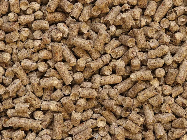 Polski pellet a importowany