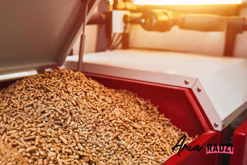 Pellet drzewny jest opałem z odnawialnych źródeł