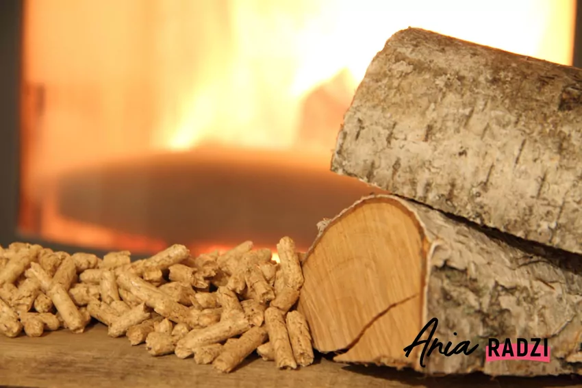 Podaż drewna w Polsce wynika z 10 letnich planów urządzania lasu