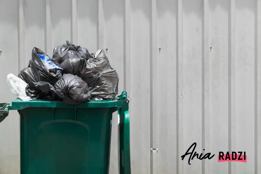 Świadome sortowanie śmieci to nie tylko kwestia przepisów Śmieci w kuble