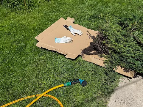 Zastosowanie kartonów w ogrodzie