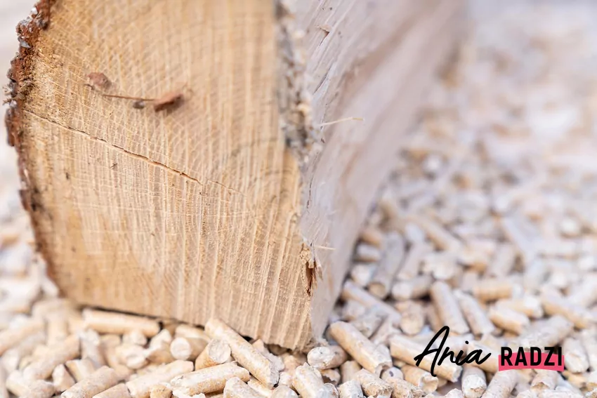Kolor pelletu może zależeć od drewna z jakiego został zrobiony. Ważne, żeby był to jednolity kolor drewna. porównanie drewna i pelletu