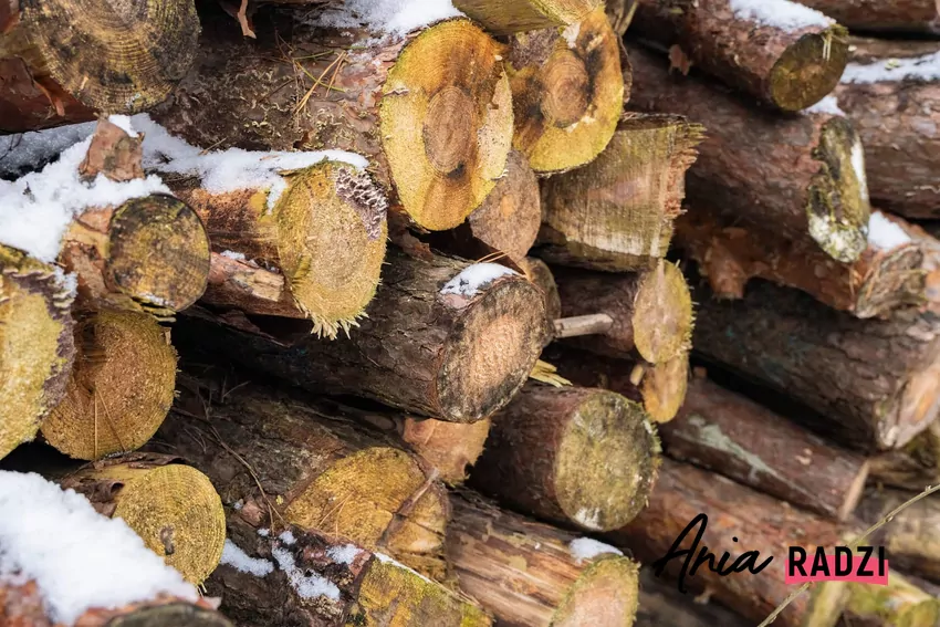 drewno na opał