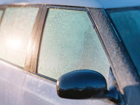 Cebula zamiast skrobaczki do szyb