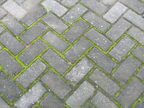 Sposób na zielony nalot na tarasie