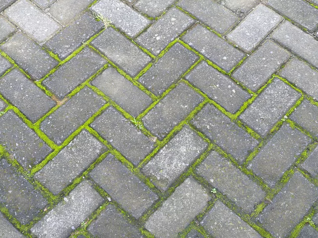 Sposób na zielony nalot na tarasie