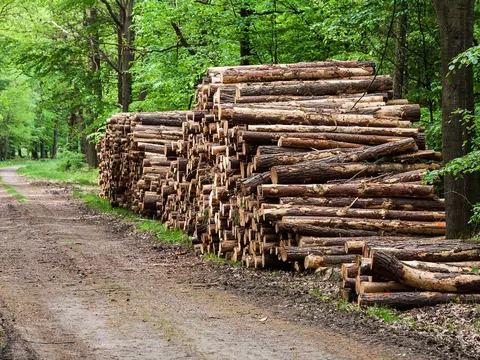 Czy zakup drewna metrowego się opłaca?