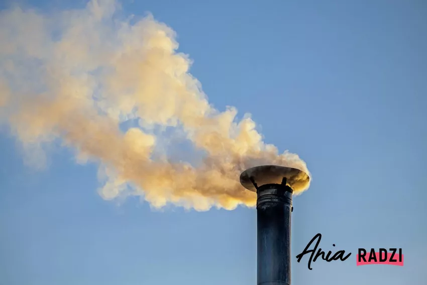 Dymiący komin świadczy o nieprawidłowym spalaniu pelletu Przyczyną nadmiernego dymienia jest zwykle niewłaściwe paliwo