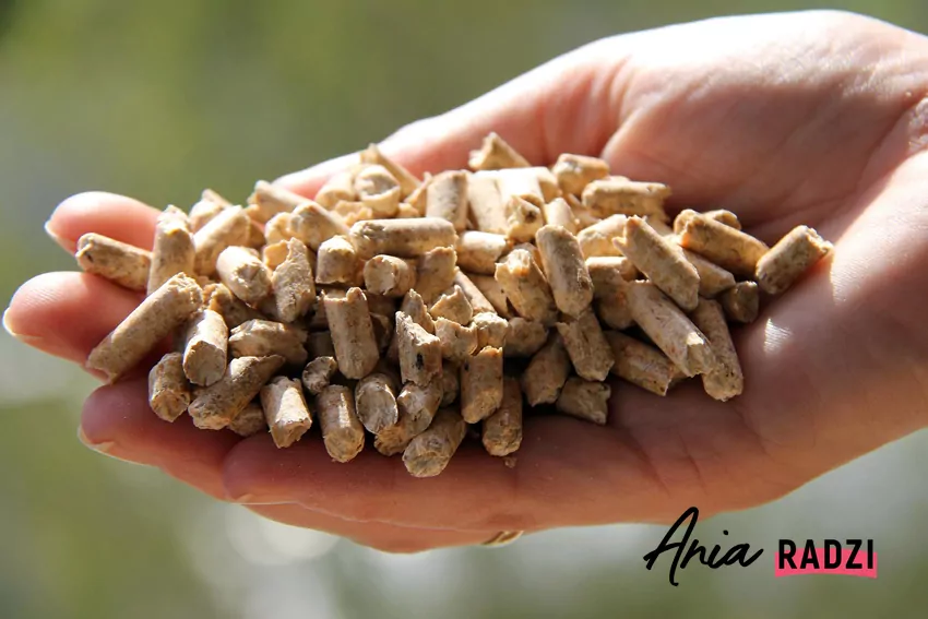 Dobrej jakości pellet emituje zapach świeżego drewna Kiolor pelletu zależy głównie od rodzaju użytego drewna