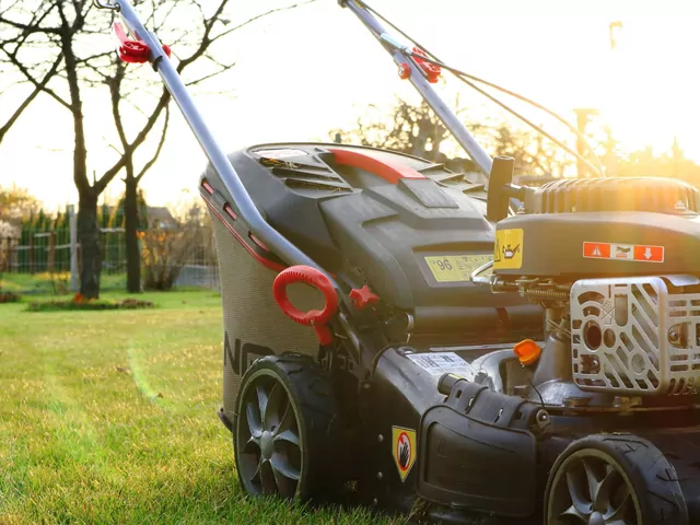 Serwis kosiarek w Castoramie