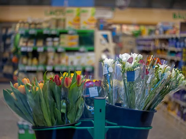 Kwiaty w supermarkecie