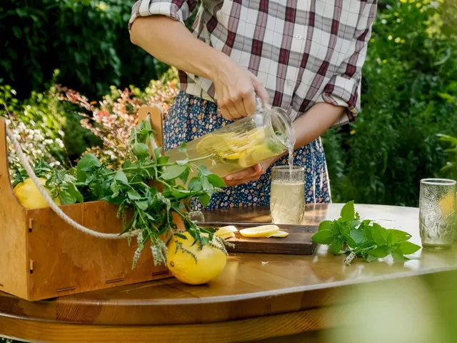 Sposób na najlepszą lemoniadę