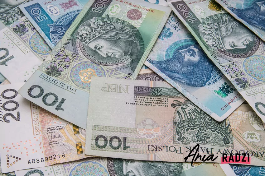 Najpierw odpowiednie warunki, później dodatkowa osłona Polskie pieniądze