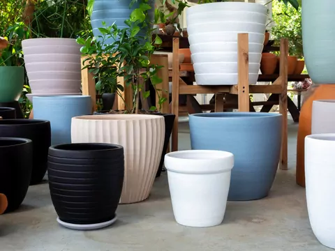 Wykorzystanie folii aluminiowej przy roślinach
