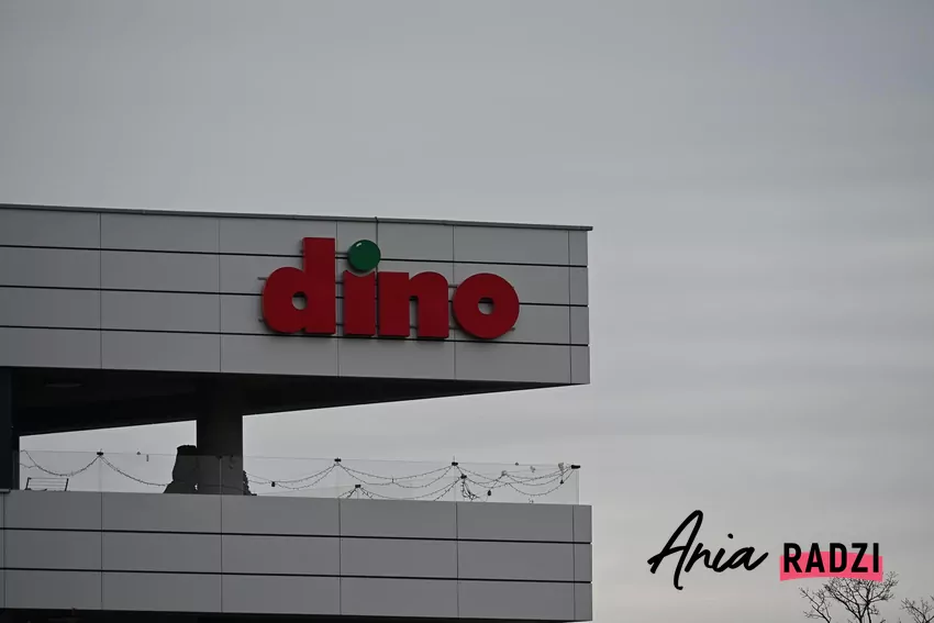 Dino