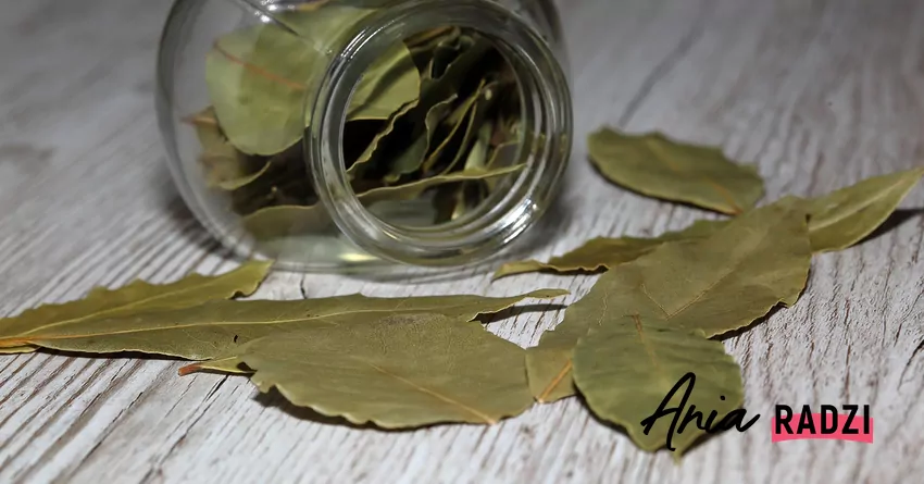 Zawarte w liściach laurowych naturalne olejki eteryczne działają uspokajająco Liście laurowe